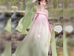 Nine-Tailed Hanfu:An Ancient Fashion in Modern Perspective