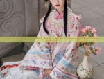 The Journey of Fengqi Hanfu:A Students Perspective