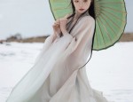 The Splendor of the Five-Star Banner in Eastern China:A Journey into the World of Hanfu Fashion