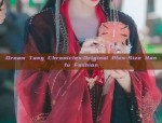Dream Tang Chronicles:Original Plus-Size Hanfu Fashion