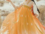 The Splendor of Xians Mǎmián Qún:A Cultural Journey into Traditional Chinese Dress