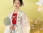 A Complete Guide to Traditional Waist-Length Hanfu Clothing