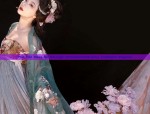 The Evolution of Starry Hanfu:Gradations of Color in Traditional Chinese Fashion