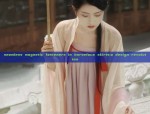 Enhancing Traditional Hanfu for Modern Commuting:A Journey into Modernized Comfort