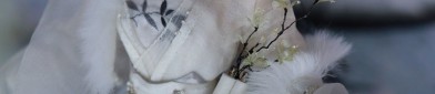 Youthful Fashion:The Rise of Silk Qipao with Sansha Silk