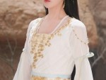 Charming Womens Cheongsam with Xiangyunsha Jacket and Traditional Flag-Shirt Collar
