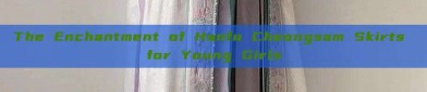 The Enchantment of Hanfu Cheongsam Skirts for Young Girls