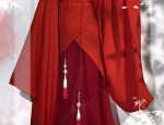 Winter Hanfu Coats for Girls:A Guide to Traditional Elegance