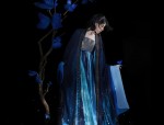 The Splendor of Long-Style Hanfu Cape and斗篷