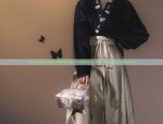 The Evolution of Hair Pads in Traditional Hanfu Fashion:A Closer Look