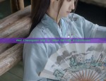 Ranking of Hanfu Clothing Stores:A Guide to the Best in the Industry