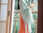 Authentic Ming-Style Hanfu with Horseface Skirt:A Closer Look