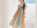 The Cultural Splendor of Cloud-肩 Scholar Gowns and Horseface Skirts in Traditional Chinese Fashion