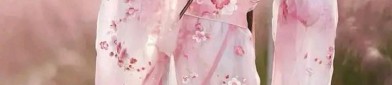 The Evolution of Armor-Style Hanfu:A Journey Through Ancient Chinese Armor and Clothing