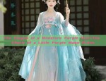 The Rise of Yang Mis Hanfu Fashion:Exploring the Allure of Di Lirabas Style
