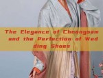 Chinese-Style Fusion:The Evolution of Traditional Cheongsam into Modern Neo-Chinese Qipao Dress
