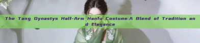 The Tang Dynastys Half-Arm Hanfu Costume:A Blend of Tradition and Elegance