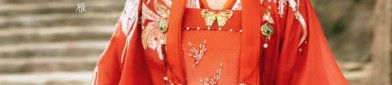 Adult Autumn and Winter Hanfu Horseback Skirt:The Revival of Traditional Beauty