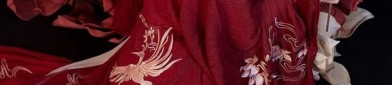 The Splendor of Shanhes Horseface Skirt:A Journey into the Traditional Beauty of Chinese Costume
