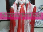 The Journey of a Primary School Girl into the World of Hanfu 汉服)