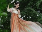 Recluse Style in Hanfu:Embracing Traditional Elegance for a Life of Solitude