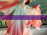 The Twelve Flower Deities of Hanfu:Exploring the Symbolic Bloom of Chinese Traditional Clothing