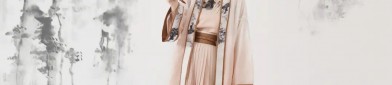 The Ming-Style Pipa Sleeves in Traditional Hanfu Clothing