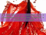 A Little Girl in a Traditional Dark Cheongsam:Embracing the Splendor of Chinese Heritage