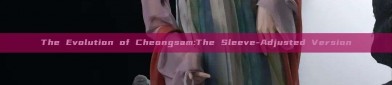 The Evolution of Cheongsam:The Sleeve-Adjusted Version