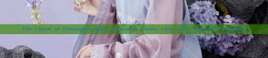 The Charm of Cheongsam-Style Blouses:A Closer Look into Traditional Elegance