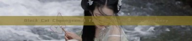 Black Cat Cheongsam:A Tale of Elegance and Mystery