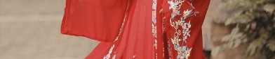 The Splendid Beauty of Hanfu Fashion:The Wisteria Butterfly Purple