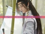 Childrens Traditional Chinese Dress:The Splendid Flower-Decorated Hanfu