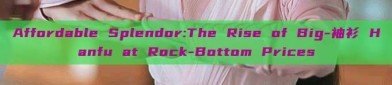 Affordable Splendor:The Rise of Big-袖衫 Hanfu at Rock-Bottom Prices