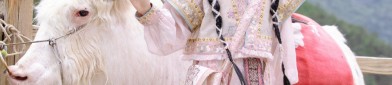 The Elegance of a Qipao Top and Skirt Combination