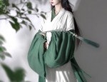 A Modern Twist on Traditional Cheongsam:The Short-sleeved改良旗袍上衣