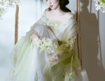 The Elegance of a Hanfu纱裙女子，传统与时尚的完美融合