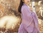 Wang Zhaojuns Splendid Beauty in the Flowing Robes of the Phoenix