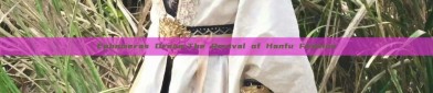 Ephemeras Dream:The Revival of Hanfu Fashion