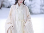 The Rise of Hanfu Fake Sleeves:Understanding the Cultural Significance and Fashion Trends