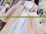 The Enchanting World of a Hanfu Girl:A Journey into a Different Realm