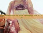 Elegant Qipao and Ethnic Fashion:A Journey into Traditional Chinese Clothing