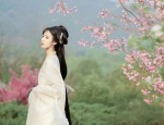 2024 New Autumn Collection:Stylish Cheongsam with Belly-Covering Charm