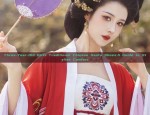 Spring Sakura Hanfu:The Charm of a Girl Child in Traditional Elegance