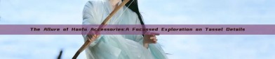 The Allure of Hanfu Accessories:A Focussed Exploration on Tassel Details