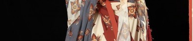 The Splendor of Girlhood:A Guide to Hanfu Da Xiushan Big Sleeve Robes)
