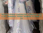 Ancient Chinese Costume:The Traditional Hanfu for Elementary School Students in Grade Five