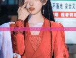 Elegant Hanfu Womens Traditional Qiyi Gowns:The Authentic Experience