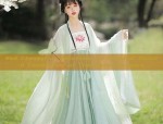 The Allure of Hanfu Headdress:A Journey into the World of Elegant and Chic Traditional Headwear