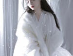 The Imperial Queen in Ancient Hanfu:A Glimpse into the Life of a Chinese Empress